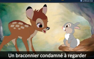 INSOLITE – Bambi