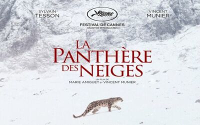 LA PANTHÈRE DES NEIGES (2021) – Critique